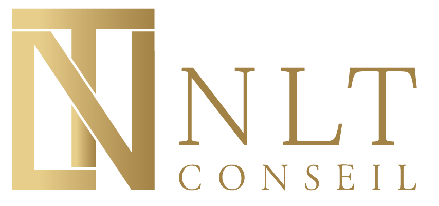 NLT CONSEIL logo
